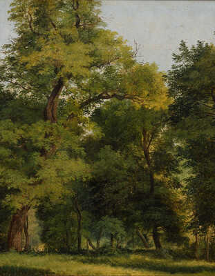 Каменев Лев Львович. Лесной пейзаж 